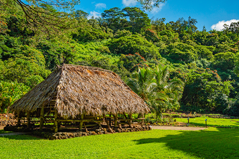 マクブライド・ガーデン / McBride Garden