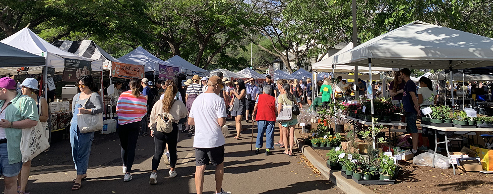 KCCファーマーズマーケットの見どころは?人気のグルメやお土産を紹介