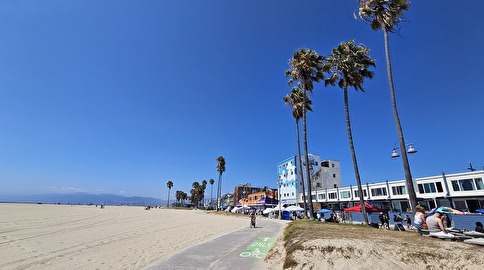 ベニスビーチの楽しみ方を解説