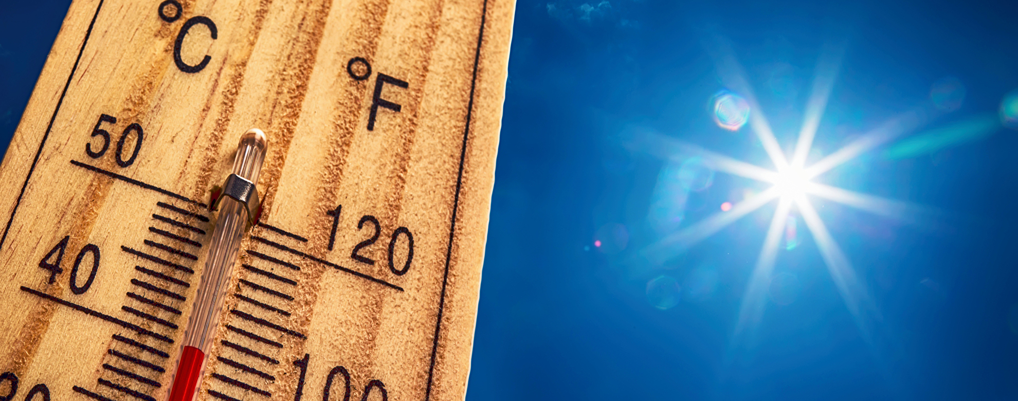 ロサンゼルスの気候(気温・降水量)を紹介 季節ごとのおすすめの服装も解説